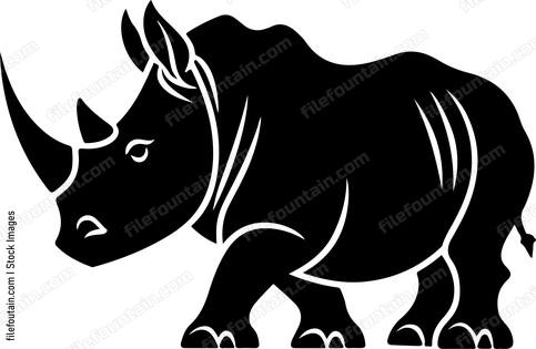 Baby Rhino