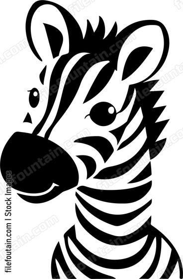 Baby Zebra