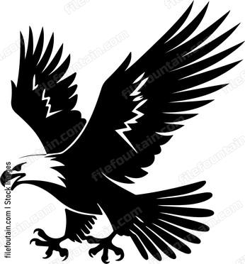 Bald Eagle Holding Prey