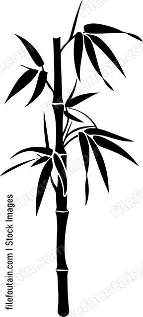 Bamboo