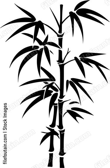 Bamboo