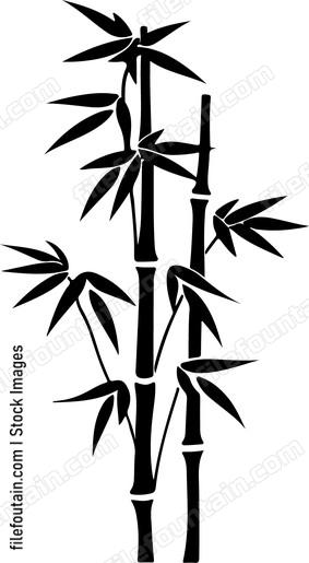 Bamboo