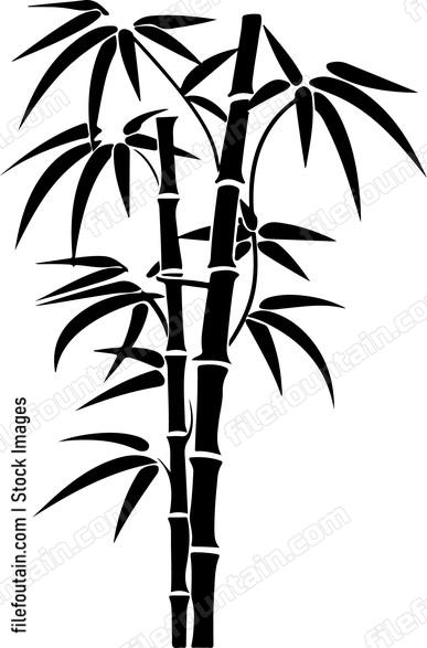 Bamboo