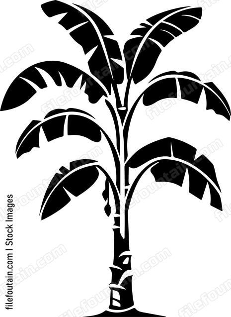 Banana Tree