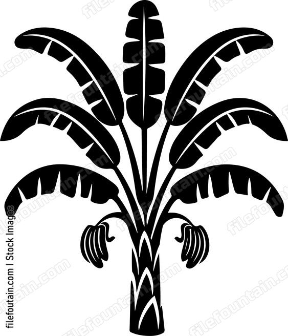 Banana Tree