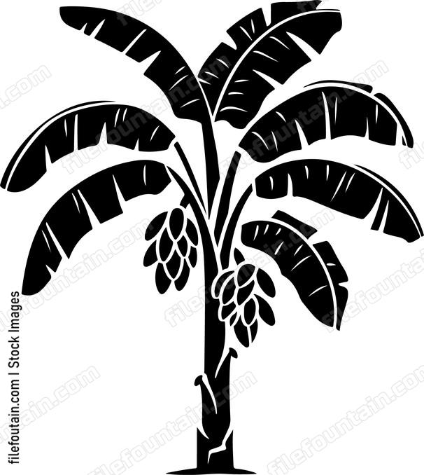 Banana Tree