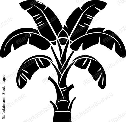Banana Tree