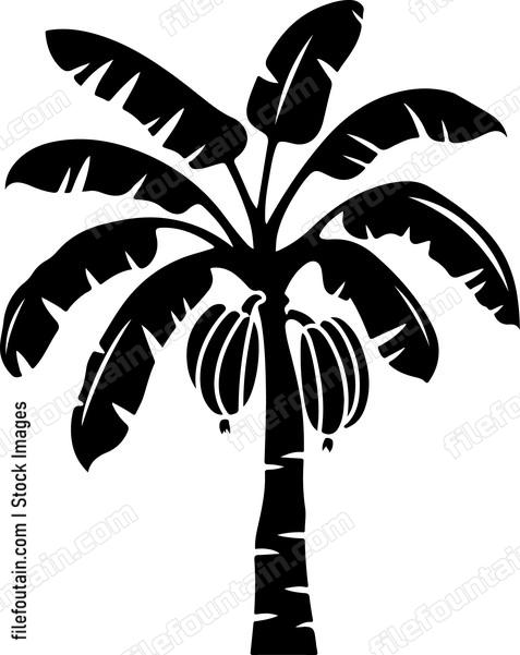 Banana Tree