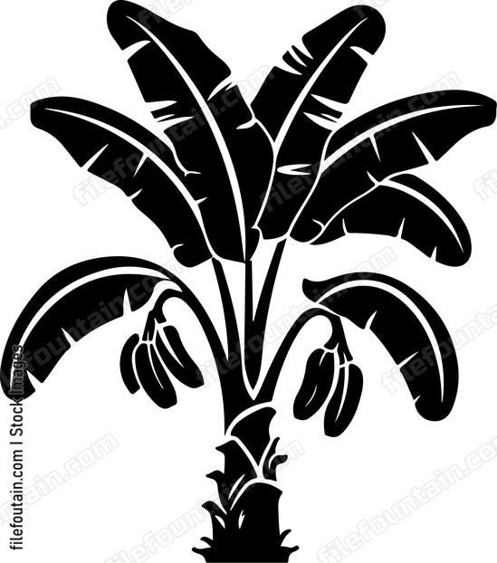 Banana Tree