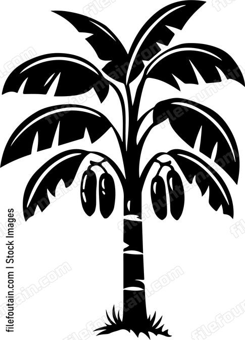 Banana Tree