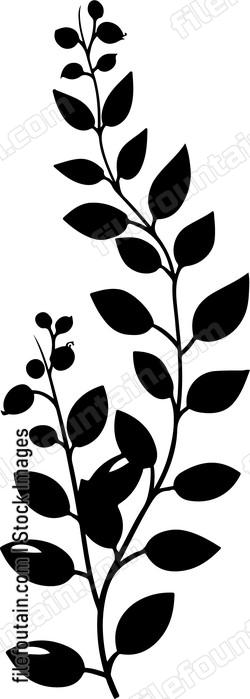 Barberry With Leaves