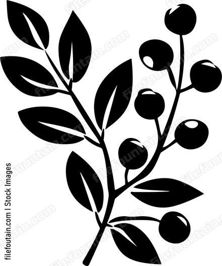 Barberry With Leaves