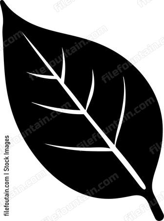 Bay Leaf