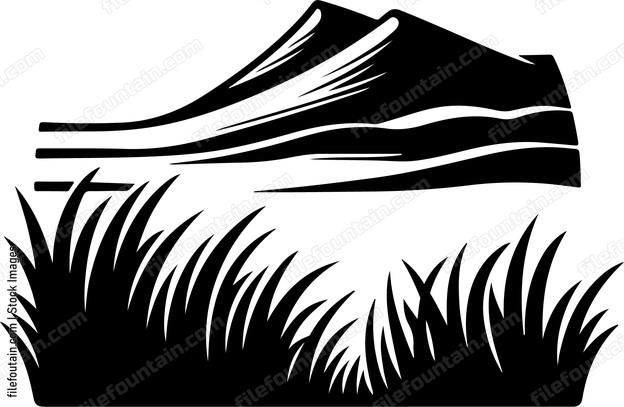 Beach Dune Landscape