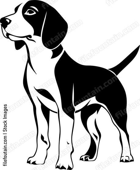 Beagle Dog
