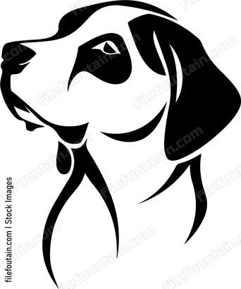 Beagle Dog