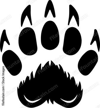 Bear Back Paws