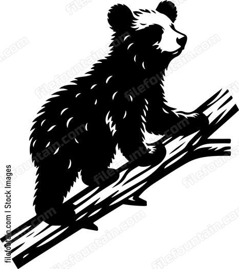 Bear cub on a tree branch