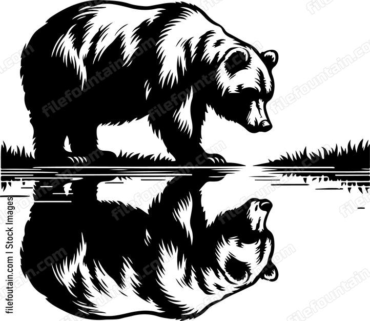 Bear gazing curiously at its reflection in a tranquil lake
