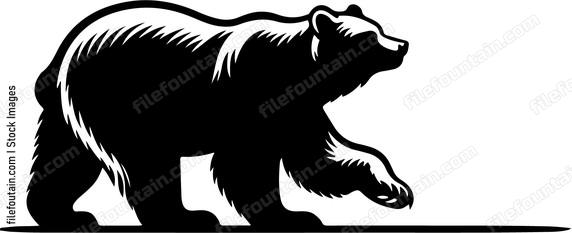 Bear moving through its territory