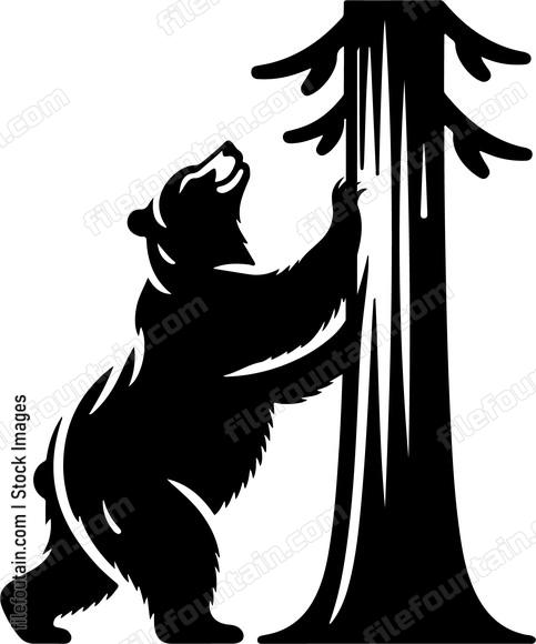 Bear scratching a tree trunk