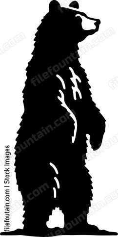 Bear standing on hind legs surveying its surroundings