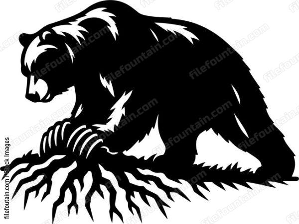 Bear using its powerful claws to dig for roots