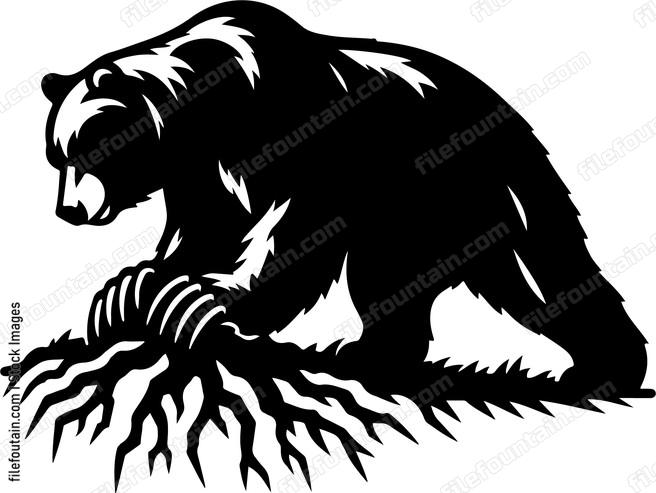 Bear using its powerful claws to dig for roots
