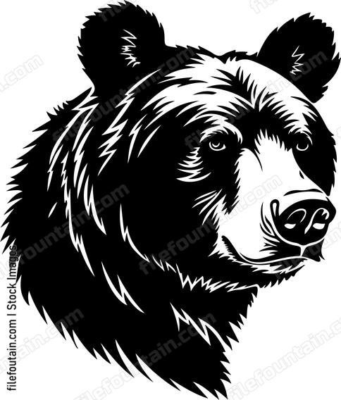 bears face