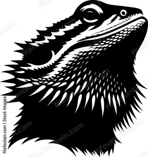 Bearded Dragon