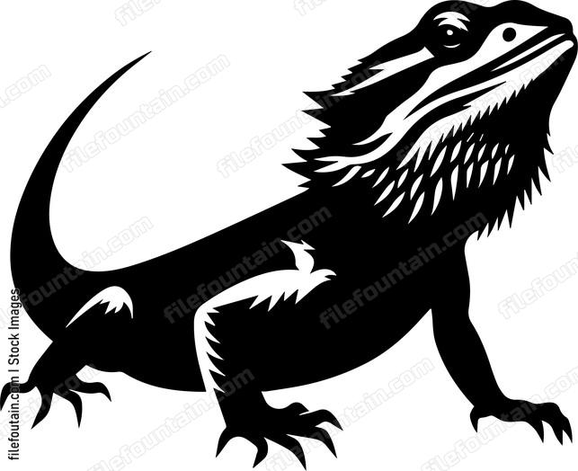 Bearded Dragon