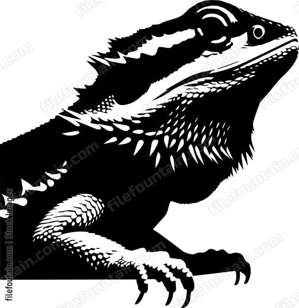 Bearded Dragon