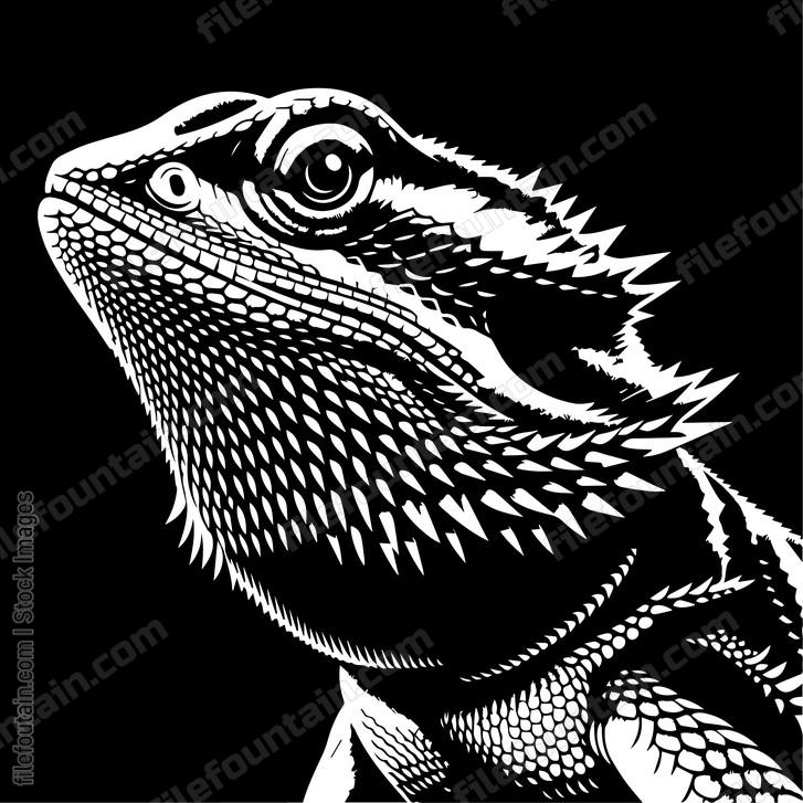 Bearded Dragon