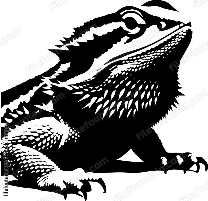 Bearded Dragon