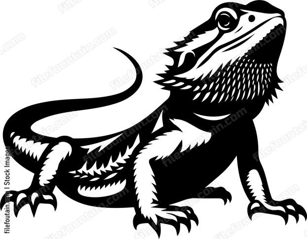 Bearded Dragon