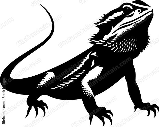 Bearded Dragon