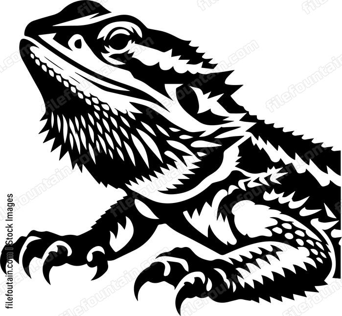 Bearded Dragon