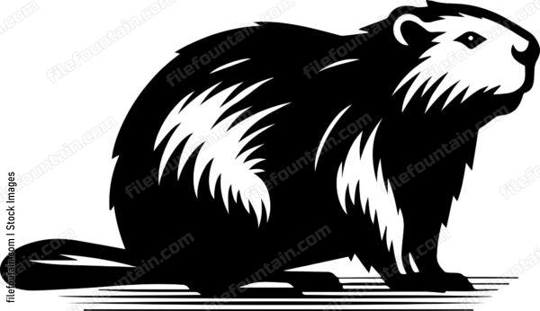 Beaver