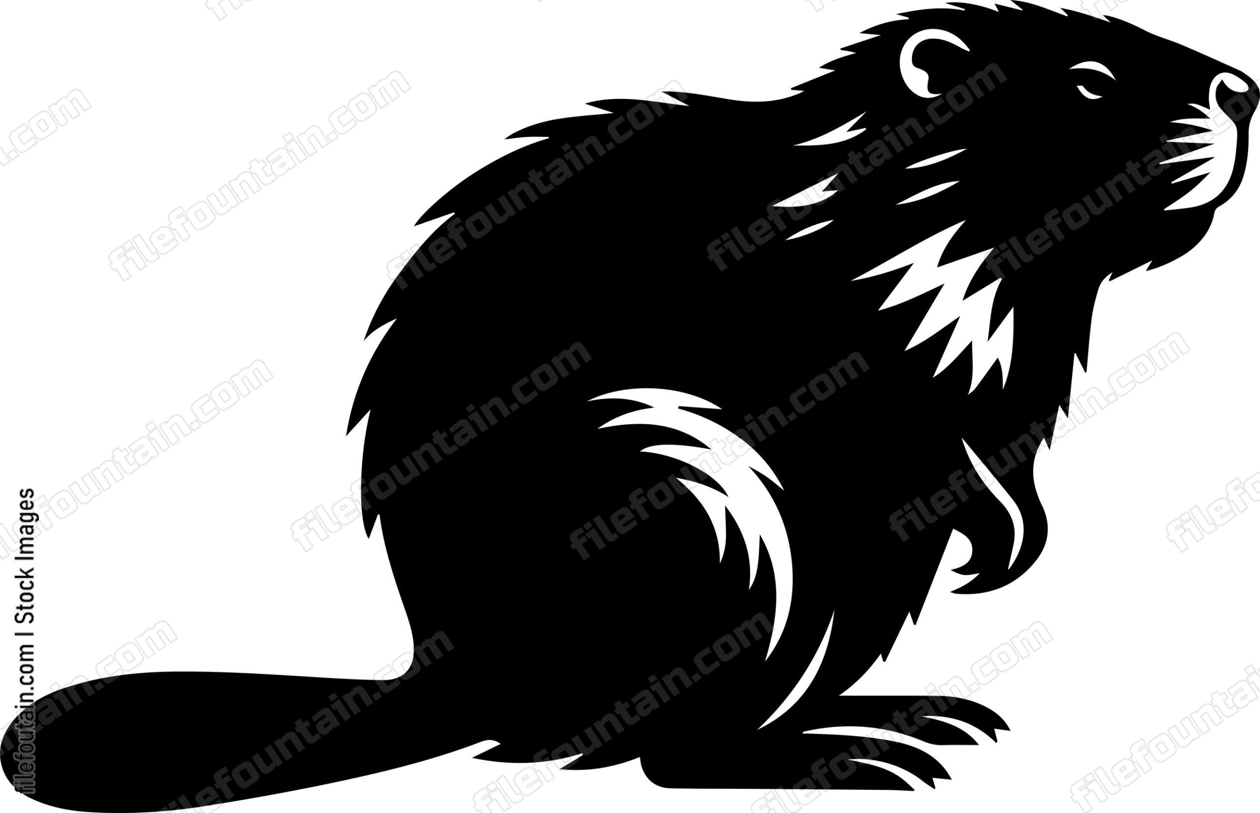 Beaver