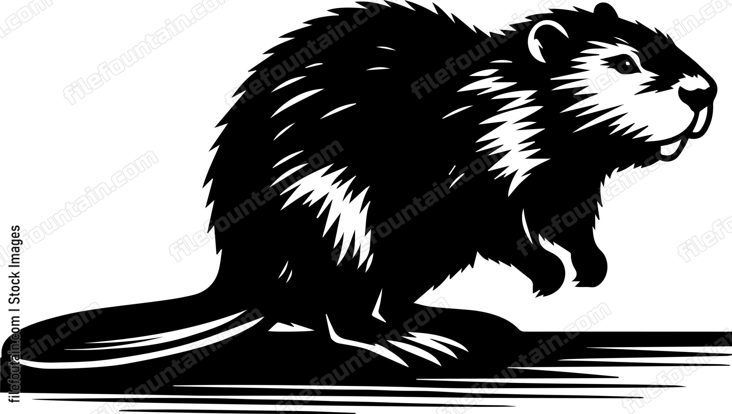 Beaver