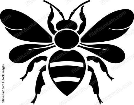 Bee graphic