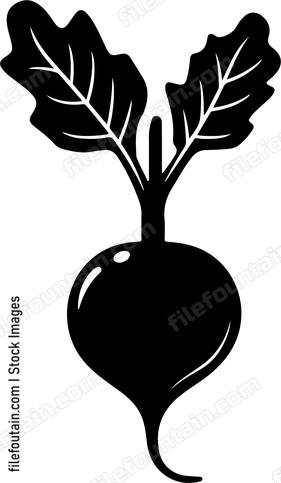 Beet
