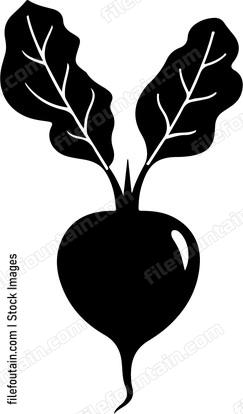 Beet