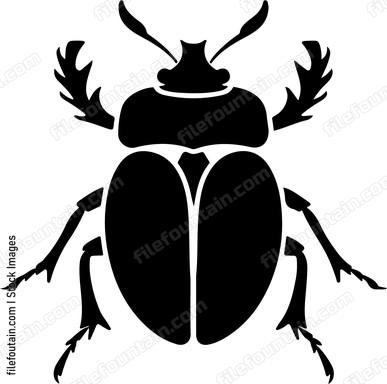 Beetle