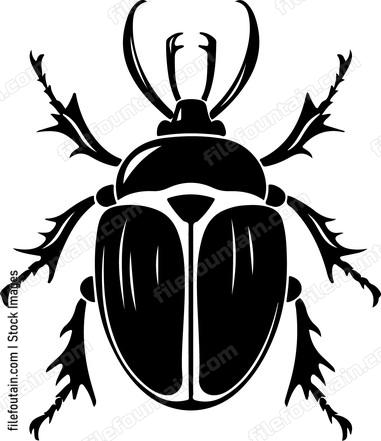 Beetle