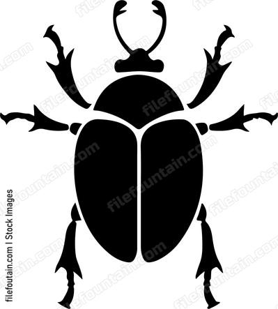 Beetle