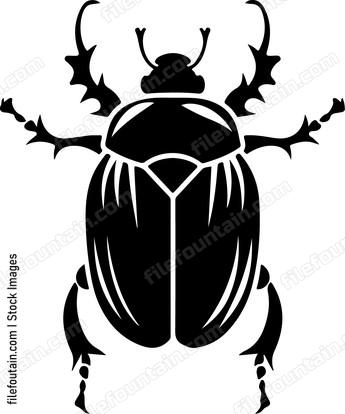 Beetle