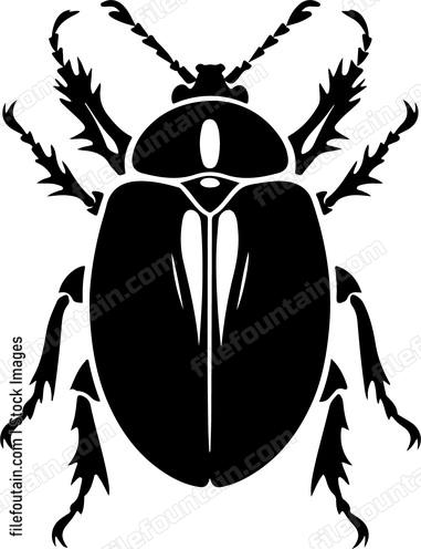 Beetle