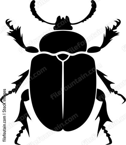 Beetle Trichodes