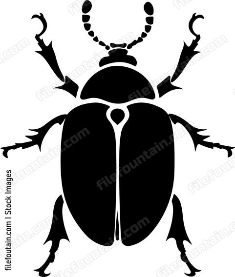 Beetle Trichodes